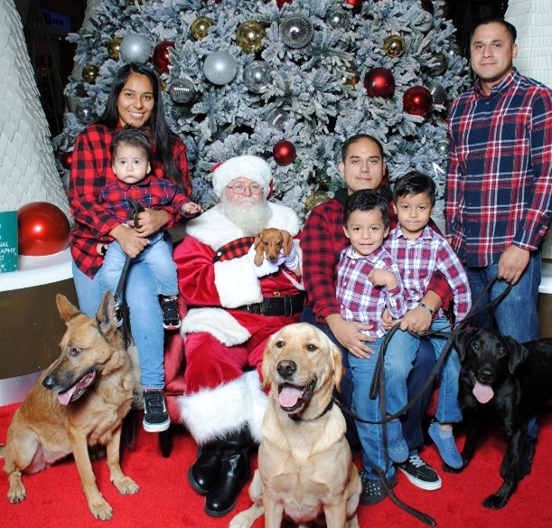 A group of people posing for a photo with dogs
